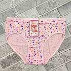 Труси жіночі модал р.2XL-4XL асорти горох (арт.8011) DENIAN 30038041, фото 2