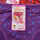 Труси жіночі модал р.2XL-4XL асорти горох (арт.8011) DENIAN 30038041, фото 3