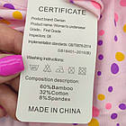 Труси жіночі модал р.2XL-4XL асорти горох (арт.8011) DENIAN 30038041, фото 4