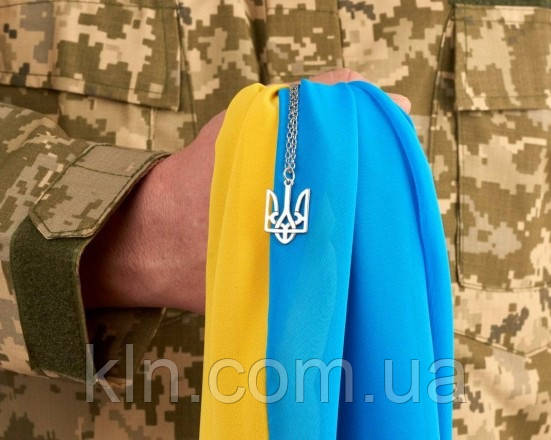 Алмазна мозаїка 50 х 40 см Сила та відвага воїна (арт. TN1208), фото 1