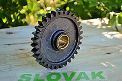 Шестерня проміжна заднього ходу z=31 МТЗ (Д-240) | 70-1701082