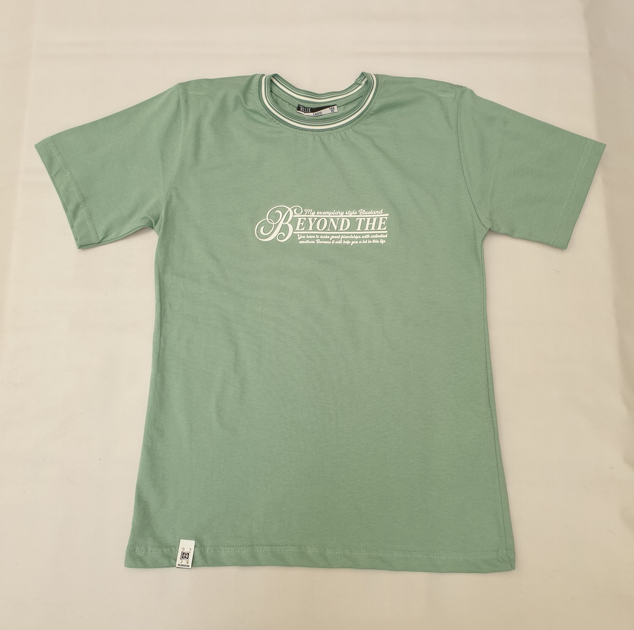 Футболка на хлопчиків 140,146,158,170 зросту Blueland Туреччина, фото 1