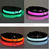 Світний LED-комір для собак світлодіодний нашийник для тварин на акумуляторі USB GLOW RING, фото 4