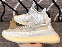 Женские кроссовки Adidas Yeezy Boost 350 V2 Abez