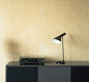 Програвач вінілових дисків Pro-Ject Primary E Phono Black, фото 3