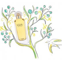 Hermes Caleche Eau de Toilette туалетна вода 100 ml. (Гермес Калеч Еау Де Туалете), фото 2