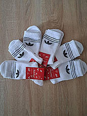 Спортивні шкарпетки ADIDAS білі, фото 2