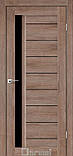 Міжкімнатні двері Дарумі модель BORDO, фото 2