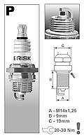 Свеча зажигания для садового инструмента Garden - BRISK PR17Y 1 шт. - (3021)