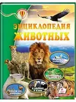 Книга Энциклопедия животных