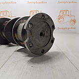 Колінвал ЮМЗ Д 65 вал колінчастий ЮМЗ-6 (Д-65) Д03-С09А, фото 2