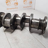 Колінвал ЮМЗ Д 65 вал колінчастий ЮМЗ-6 (Д-65) Д03-С09А, фото 3