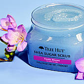Скраб для тіла Tree Hut Exotic Bloom Sugar Scrub