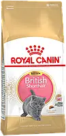 Сухий корм Royal Canin Kitten British Shorthair для британських короткошерстих кошенят 4-12 місяців, 0,4 кг