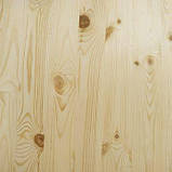 Меблевий щит сосна, фото 6