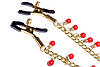 Затискачі для сосків Fetish Boss Series - №15 Exclusive Nipple Clamps, фото 6