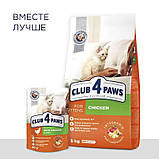 Клуб 4 Лапи Premium Kittens Chicken для кошенят з куркою 300 г, фото 5