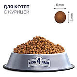 Клуб 4 Лапи Premium Kitten Chicken для кошенят з куркою 5 кг, фото 9