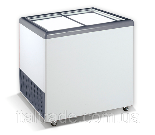 Скриня морозильна Crystal Ektor 26 SGL із прямими скляними дверима та об'ємом 251 л, фото 1