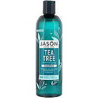 Jason Natural, Normalizing Tea Tree Shampoo, 17.5 fl oz (517 ml), JAS-00078 Киев