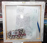 Картини за номерами Вечірня мелодія, 40х50см. (КНО2506), фото 8