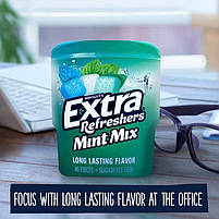 Жуйки Wrigley/'s Extra Refreshers Mint Mix sugar free 40 шт., фото 9