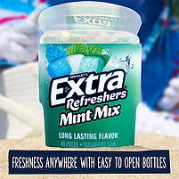 Жуйки Wrigley/'s Extra Refreshers Mint Mix sugar free 40 шт., фото 10