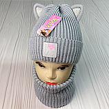 М 91028. Комплект зимовий для дівчинки шапката баф "CATS", різні кольори (1-5 років), фото 4