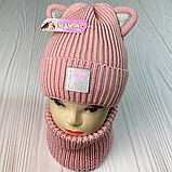 М 91028. Комплект зимовий для дівчинки шапката баф "CATS", різні кольори (1-5 років), фото 6