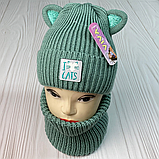 М 91028. Комплект зимовий для дівчинки шапката баф "CATS", різні кольори (1-5 років), фото 7