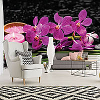 Фото обои 3д цветы 368x254 см СПА Розовые орхидеи и свечка на черном фоне (3399P8)+клей