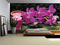Флизелиновые фотообои в спальню над кроватью 3д 368x254 см СПА Розовые орхидеи и свечка на черном фоне