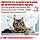 Royal Canin GastroIntestinal kitten (Гастроінтестинал) сухий корм для кошенят із порушенням травлення, 400 гр, фото 3