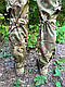 Жіночі військові літні штани мультикам жіночі тактичні штани ЗСУ "Multicam", фото 3