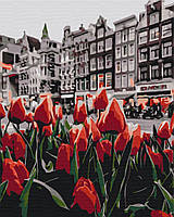 Картина по номерам "Тюльпаны Амстердама" 40x50 3v1 Рисование Живопись Раскраски (Авторские коллекции)