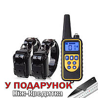 Электронный ошейник для собак Pet DTC800 с пультом д/у 2 receiver