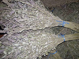 Ароматний віник М'ята перцева для бані, Довжина 55 см