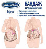 Бандаж до/післяпологовий універсальний №202 розмір 1 Білосніжка Бежевий, фото 5