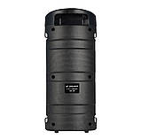 Портативна акустична система Winso ZQS-4209-4"x2 Bluetooth колонка з RGB 12W-1200mAh + Пульт, фото 8