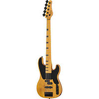 Schecter Model-T Session-5 ANS