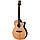 PRS SE A50E BG inc. Case, фото 3