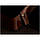 PRS SE A50E BG inc. Case, фото 8