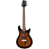 PRS SE Pauls Guitar BG