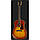 Gibson J-45 Deluxe, фото 2