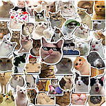 Наліпки Котики ван лав, фото 2