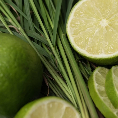 Аромат для свічки та мила Лемонграс і лайм (CandleScience Lemongrass and Lime)