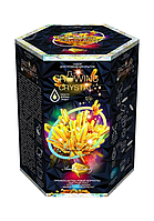 Ігровий набір для проведення дослідів "Growing crystal" Danko Toys Чорний