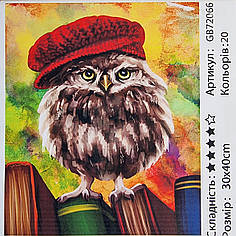 Алмазна мозаїка Сова в капелюсі 30x40 см на підрамнику БЕЗ коробки