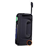 Акумуляторна колонка Temeisheng TMS-1515 з мікрофонами/400W (USB/Bluetooth/Пульт ДК), фото 5