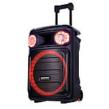 Акумуляторна колонка Temeisheng TMS-1515 з мікрофонами/400W (USB/Bluetooth/Пульт ДК), фото 3